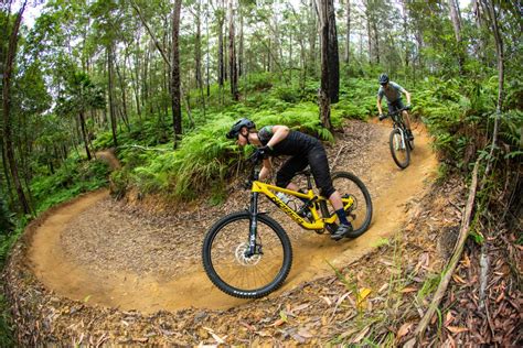 Mtb online. Things To Know About Mtb online. 